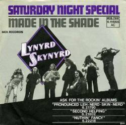 Lynyrd Skynyrd : Saturday Night Special - Made in the Shade